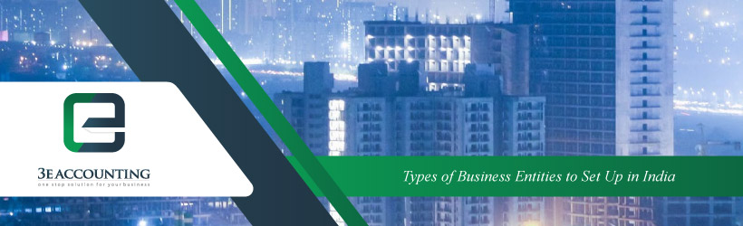 Types of Business Entities to Set Up in India
