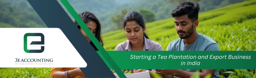 Starting a Tea Plantation and Export Business in India